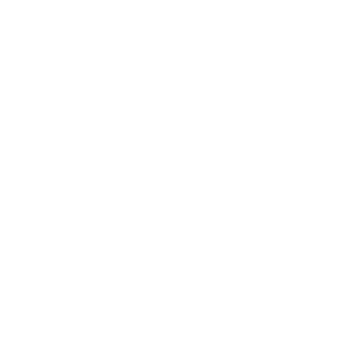 Slots Animal Casino